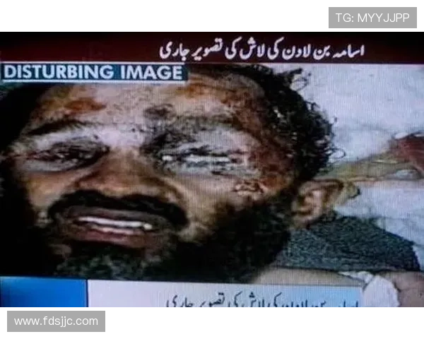 末日围城追击僵尸本拉登的惊魂冒险传奇大剧全程高能篇 末日围城追击僵尸本拉登的惊魂冒险传奇大剧全程高能篇