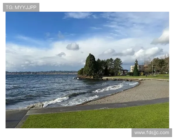 情定西雅图:当浪漫遇上雨,爱情在这里悄然绽放